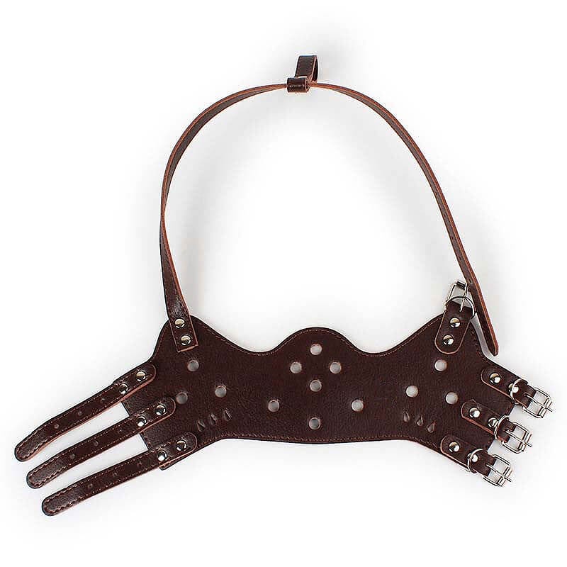 botnita-piele-caini-cb05-2