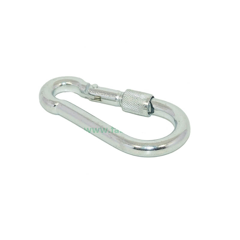 carabiner-clasic-cm31