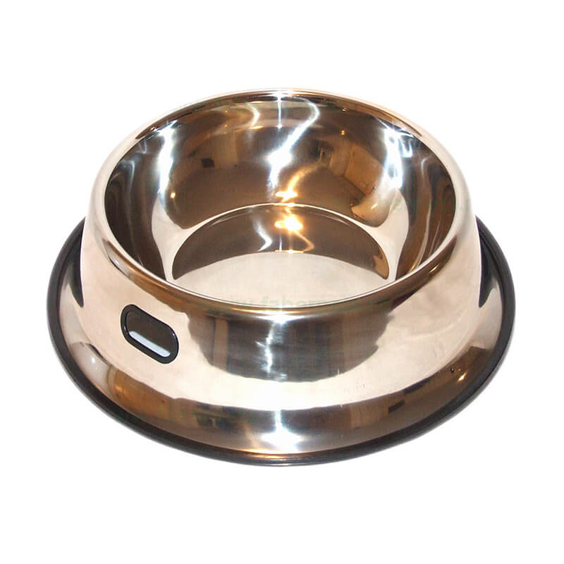 castron-caini-cd31-a