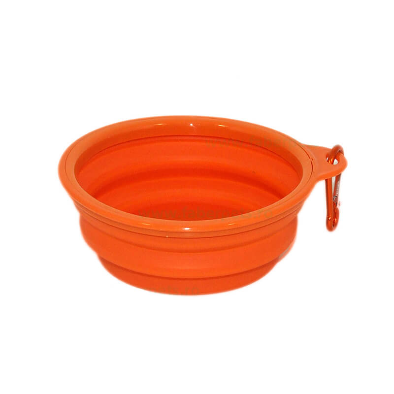 castron-cd40