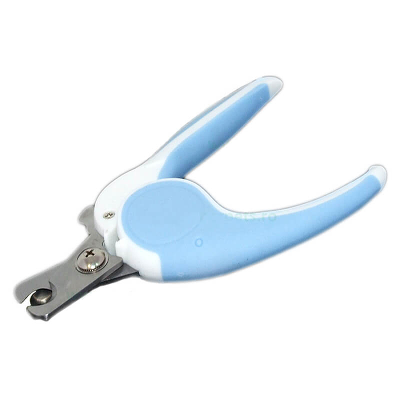 cleste-caini-cp353