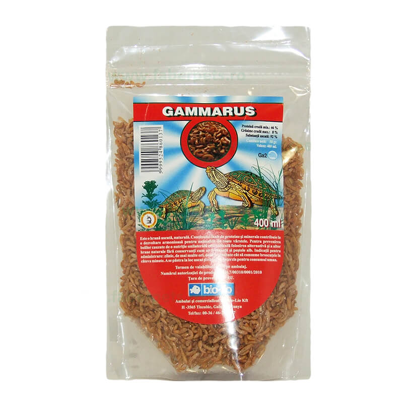 gammarus-broscute-ahb35