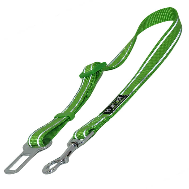 lesa-cl081
