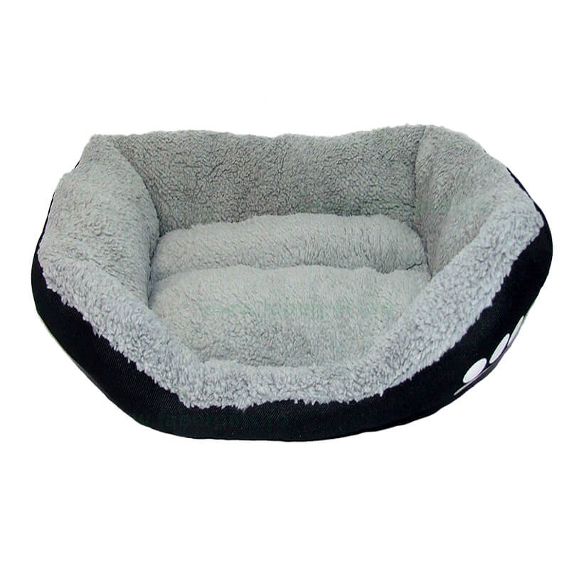 patut-animalute-ca811