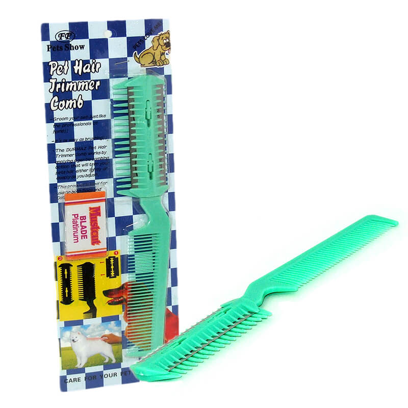 pieptene-cp034