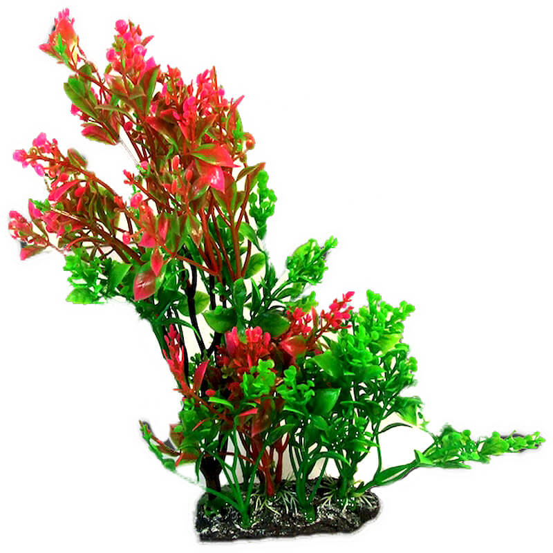 plante-acvariu-atp373