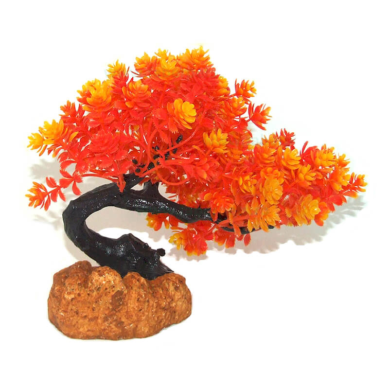 plante-acvariu-atp40