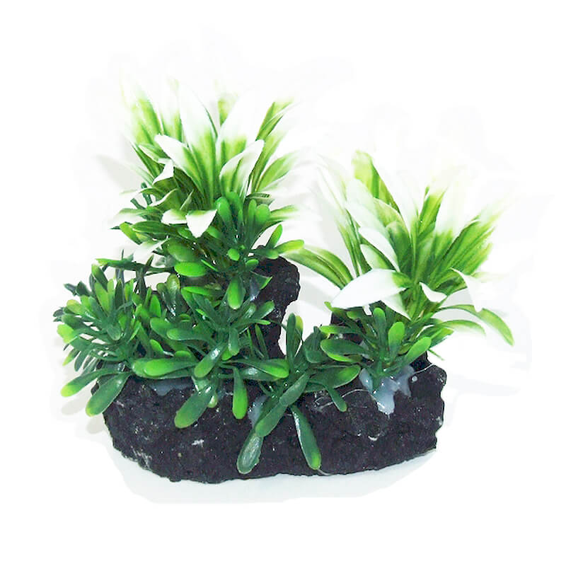 plante-acvariu-atp401