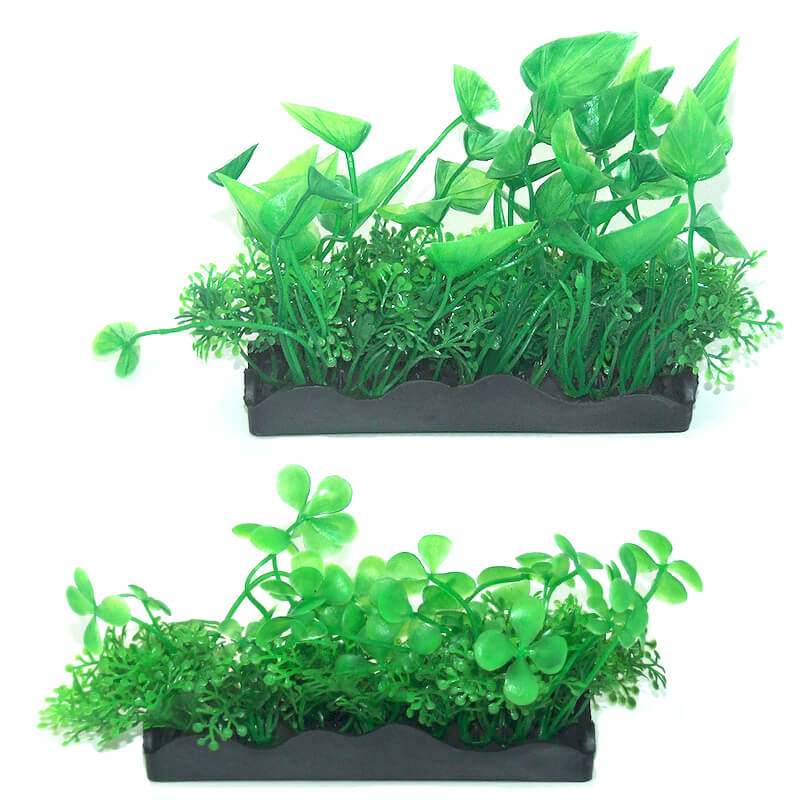 plante-acvariu-atp406