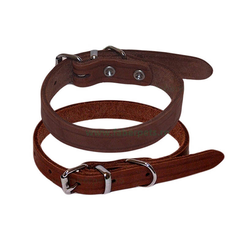 zgarda-piele-cza481
