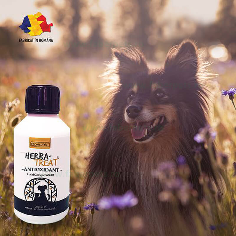 herba-treat-ps701.jpg