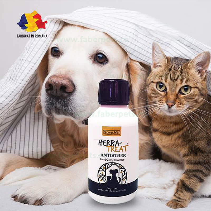 herba-treat-ps703.jpg
