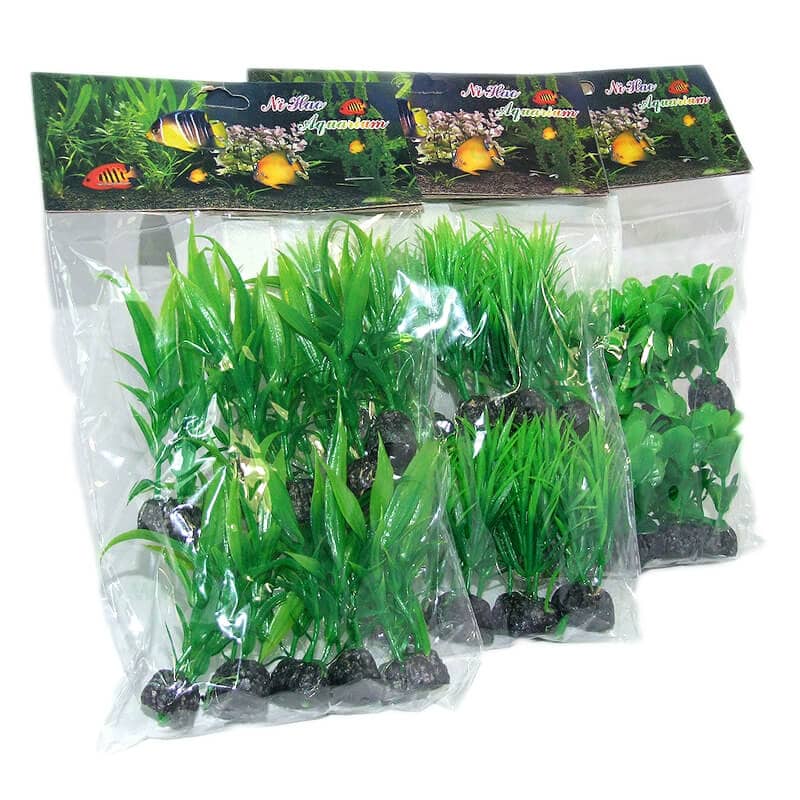 plante-atp33-b.jpg