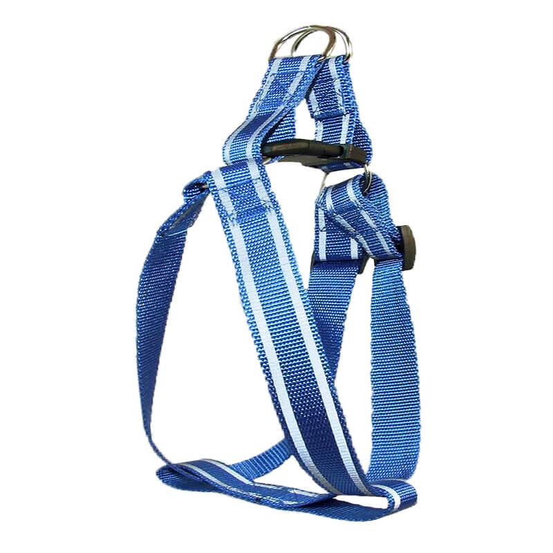 ham-caine-ch1434