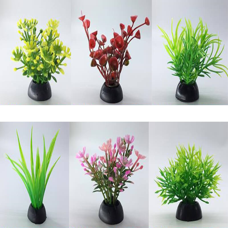 plante-acvariu-atp333