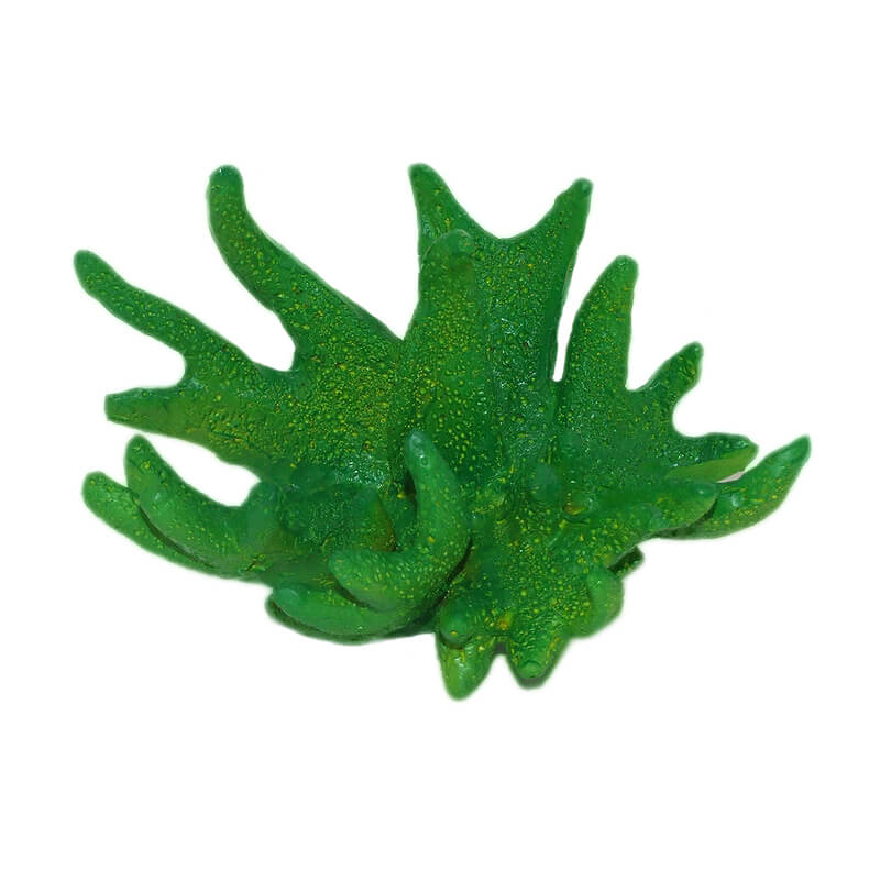 ornament-acvariu-ato11